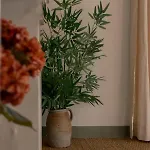 Le Charme - Petite Maison Holiday home