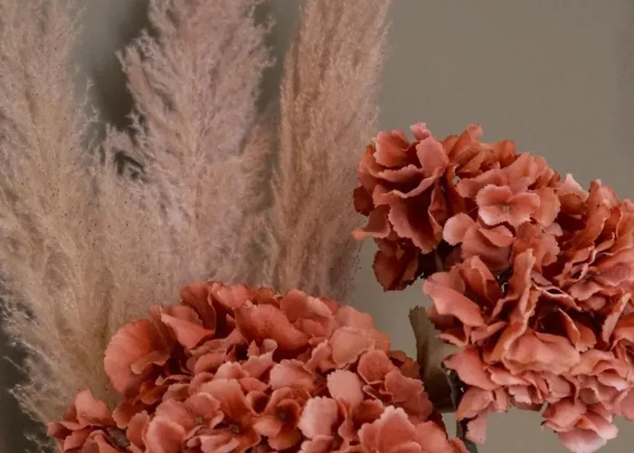 Le Charme - Petite Maison 度假居 *